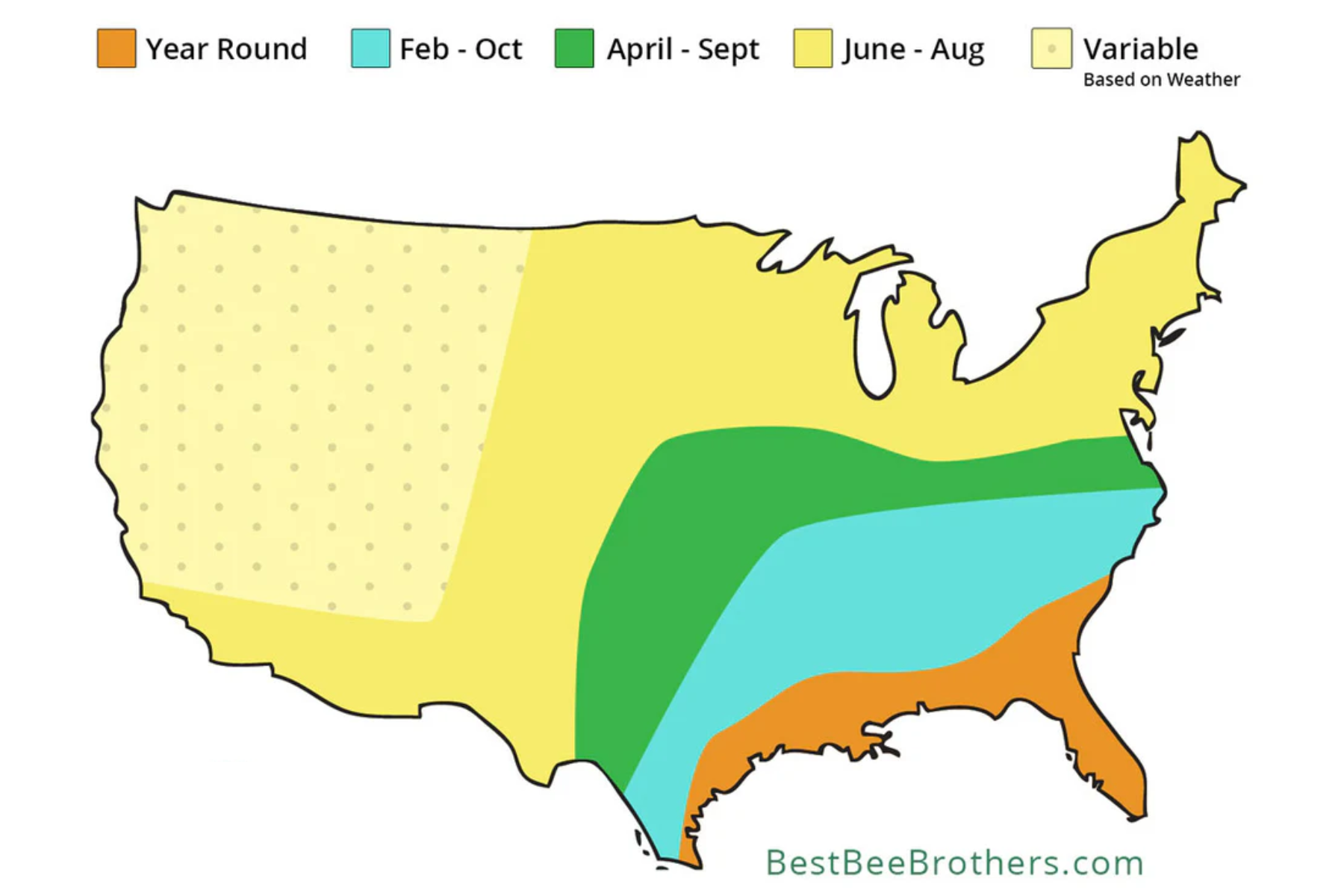 bestbeebrothers.com