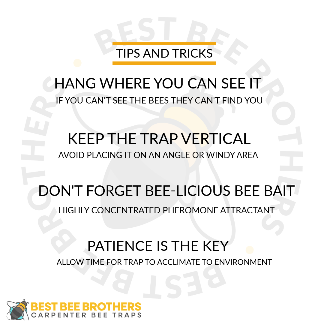 COMBO #2 - 2 Ultimate Pro Carpenter Bee Traps with Bee Vault and 1 Bee-Licious Bee Bait