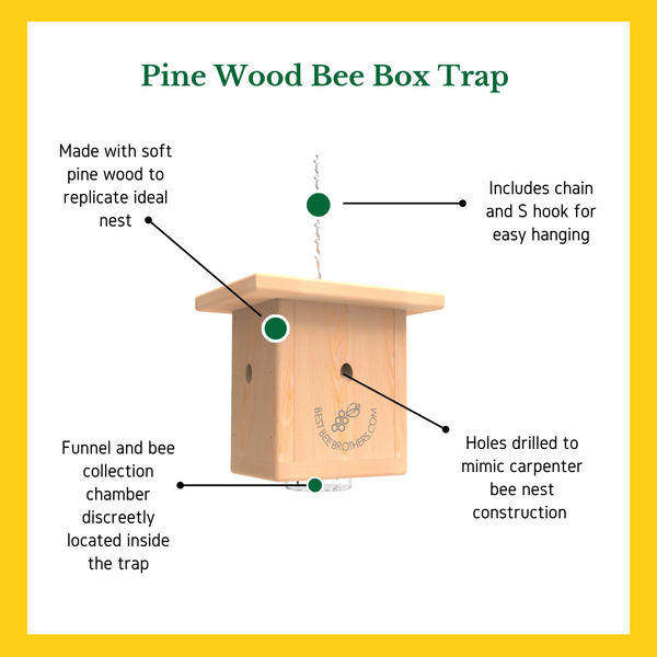 Pine Wood Carpenter Bee Trap Gift Box Best Bee Brothers