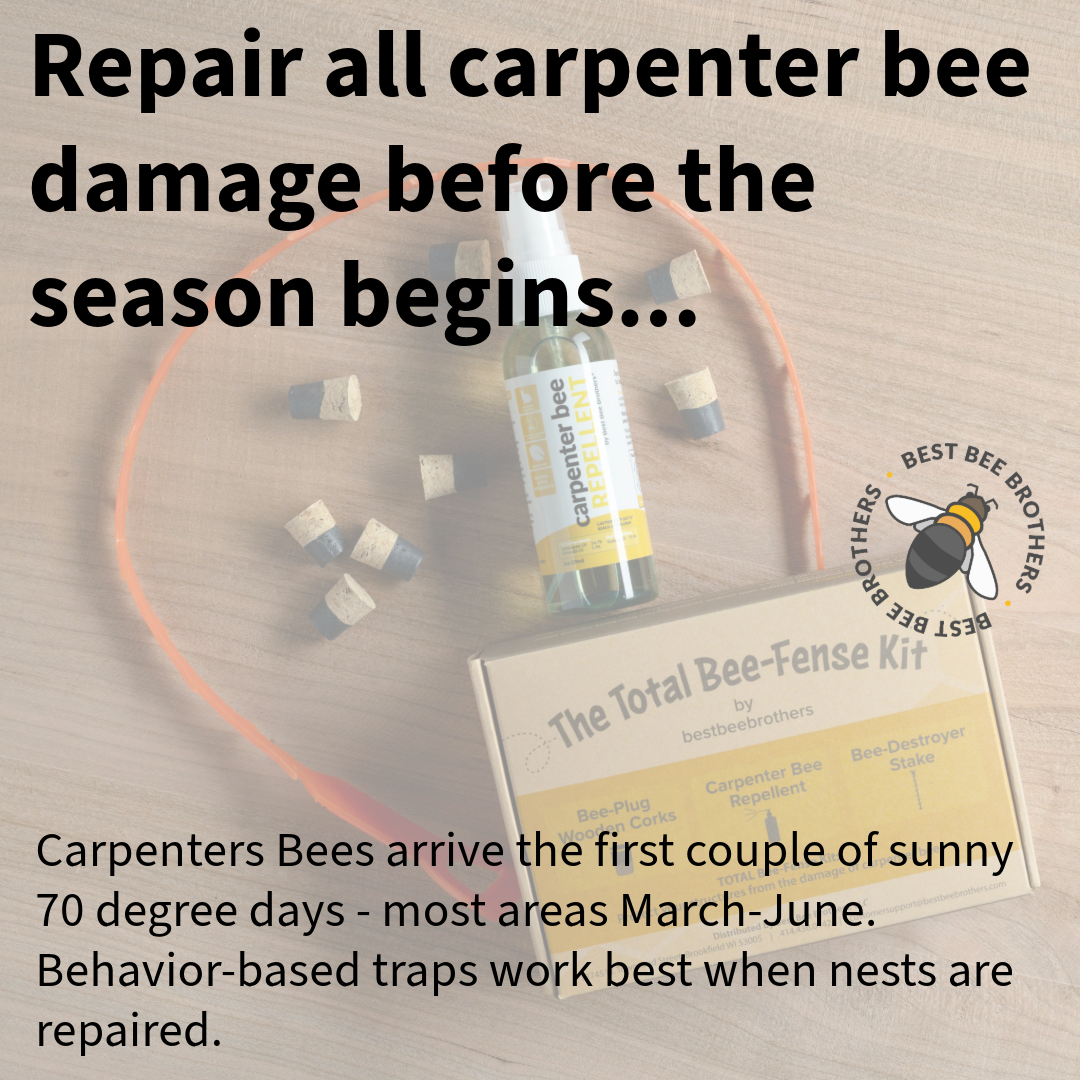 Ultimate Pro Black Roof Carpenter Bee Trap Repair Kit Replacement Parts (4 pcs)