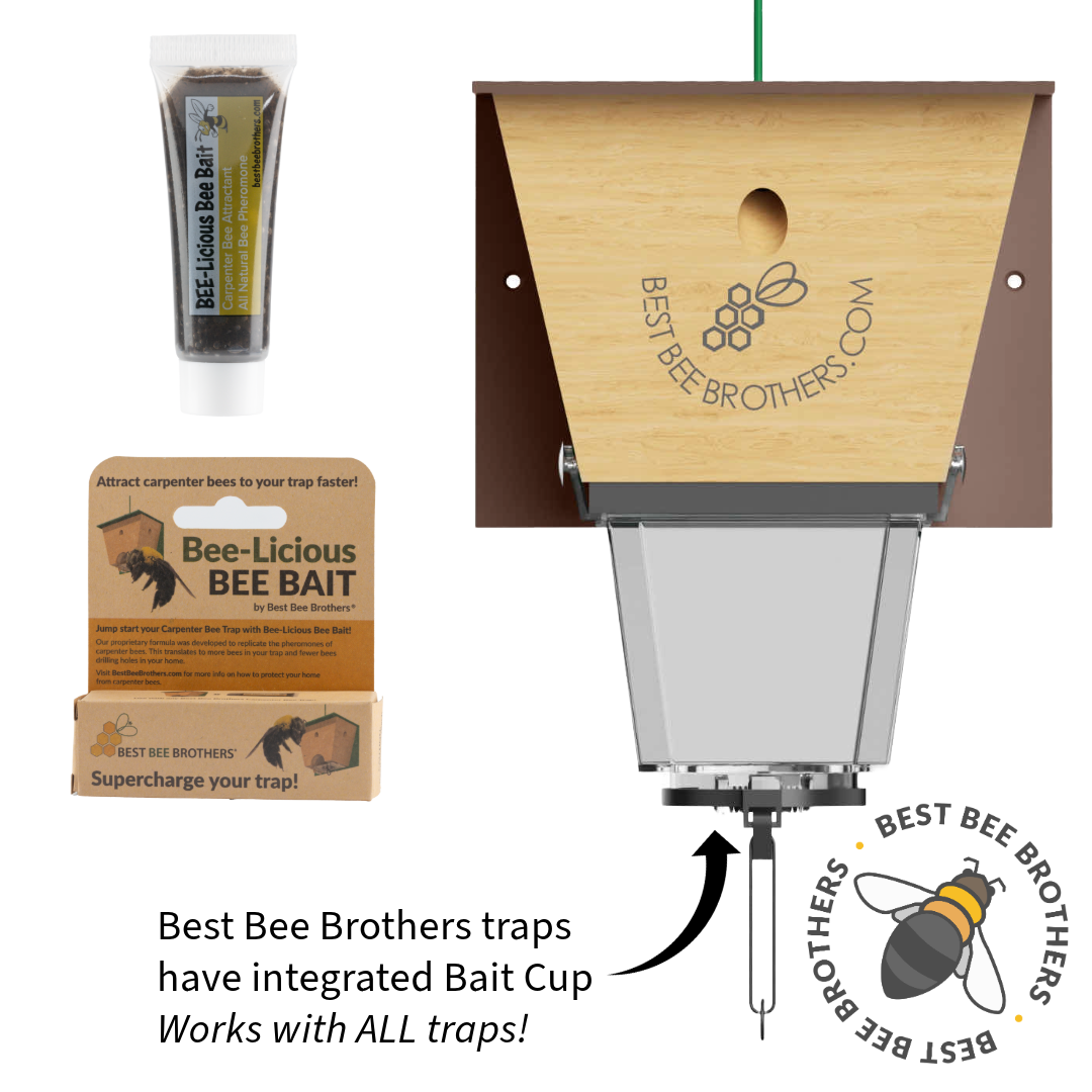 Bee-Licious Bee Bait 2 Pack