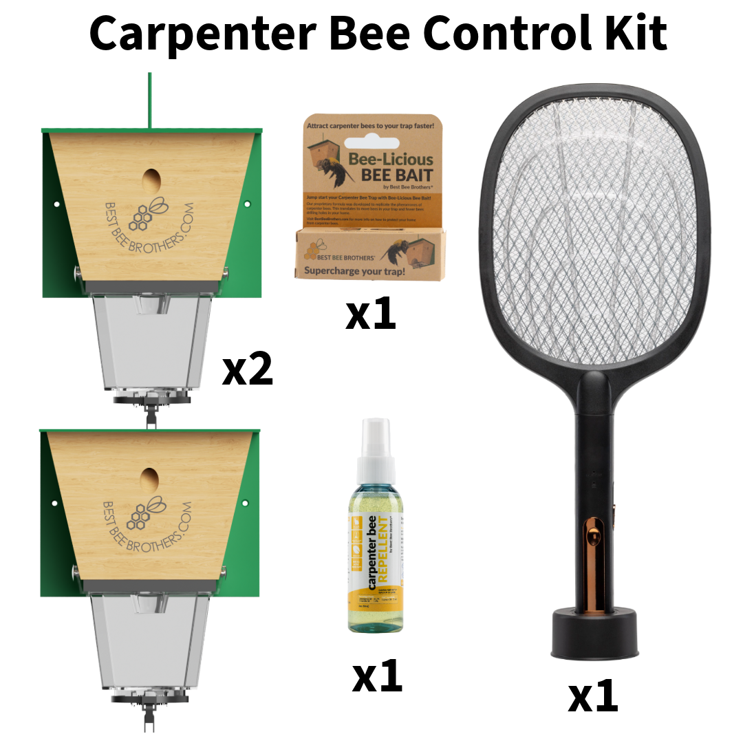 Carpenter Bee Control Kit