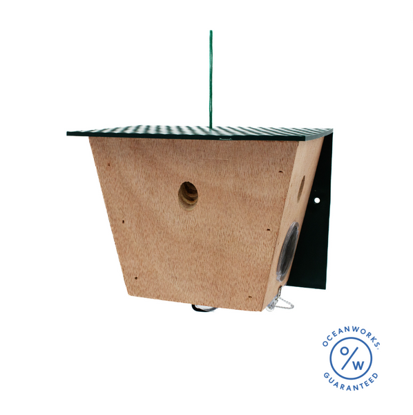 Carpenter Bee Turbo Trap Gift Box Best Bee Brothers