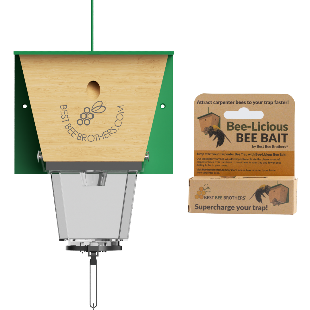 COMBO #1 - 1 Ultimate Pro Carpenter Bee Trap with Bee Vault and 1 Bee-Licious Bee Bait