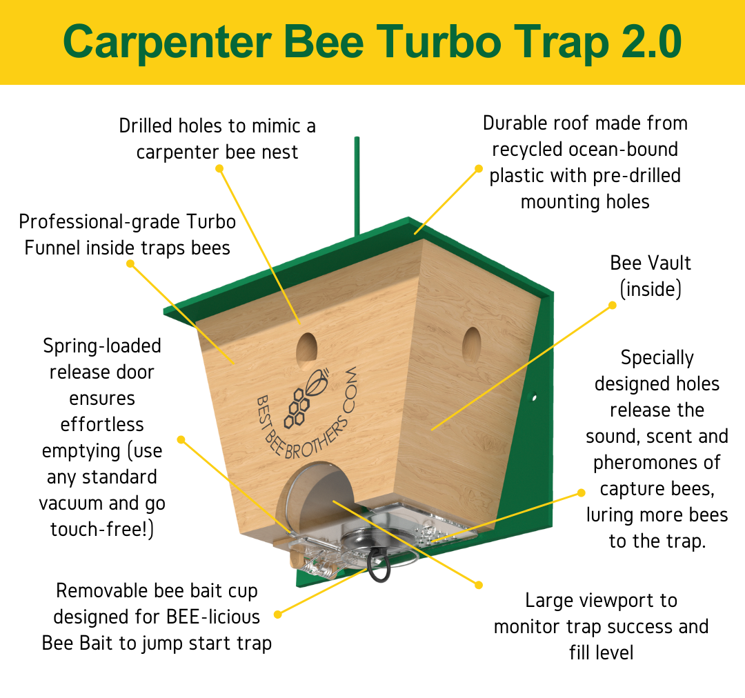Carpenter Bee Turbo Trap 2.0 with Bee Vault Gift Box