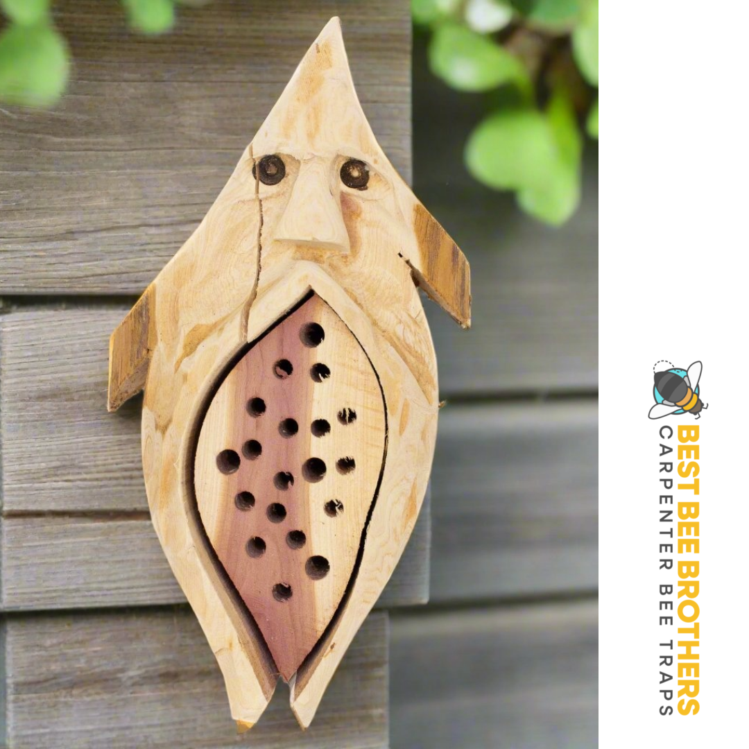 BEEHIVE（蜂の巣） カイフランク BEEHIVE（蜂の巣） カイフランク