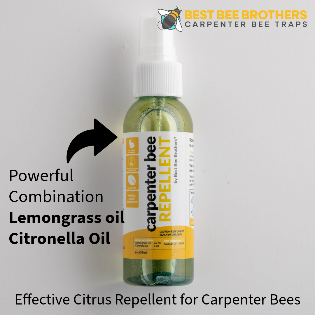 Carpenter Bee Control Kit