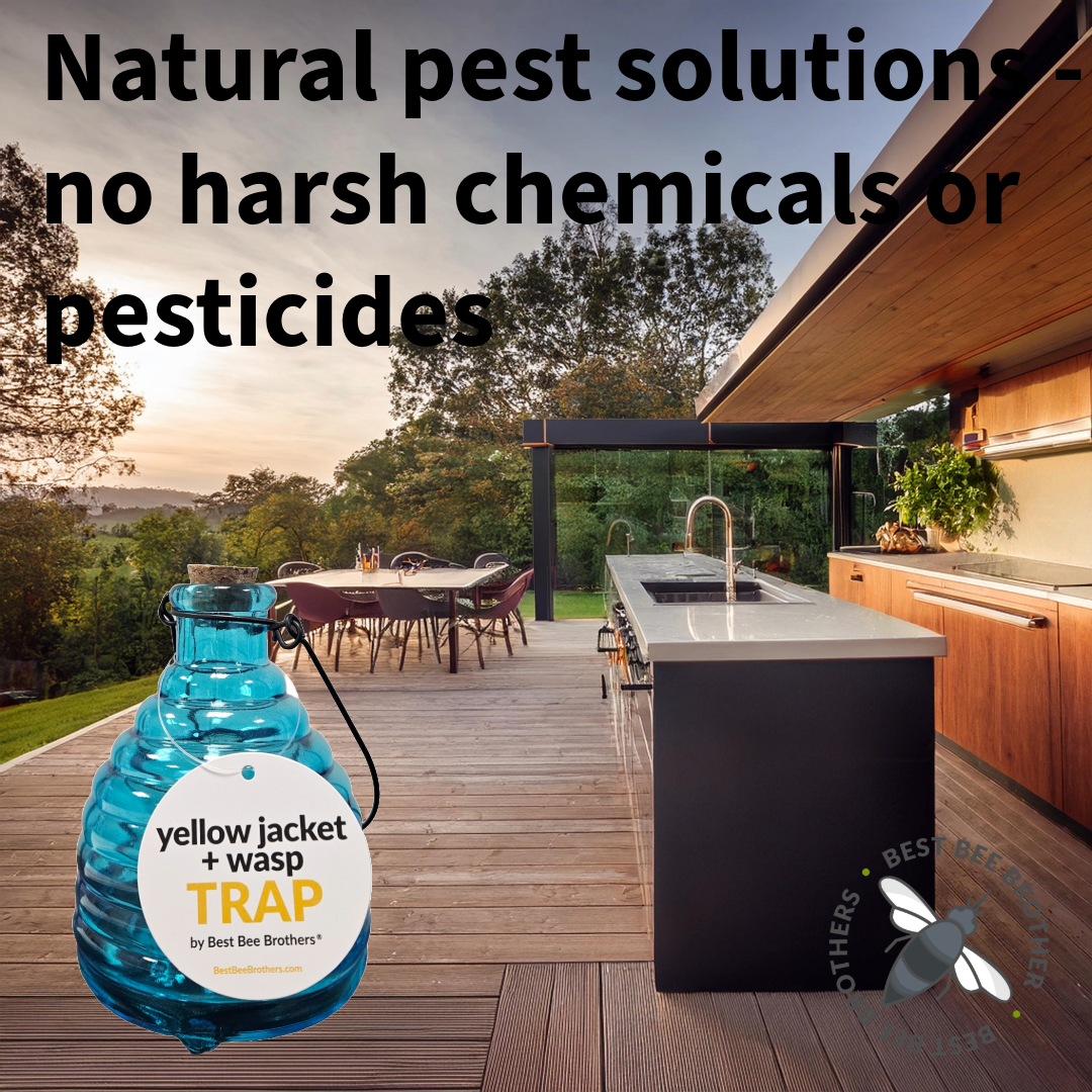 Glass Wasp Trap and Deterrent Hive (2 Hives) for Wasps and Yellow Jackets
