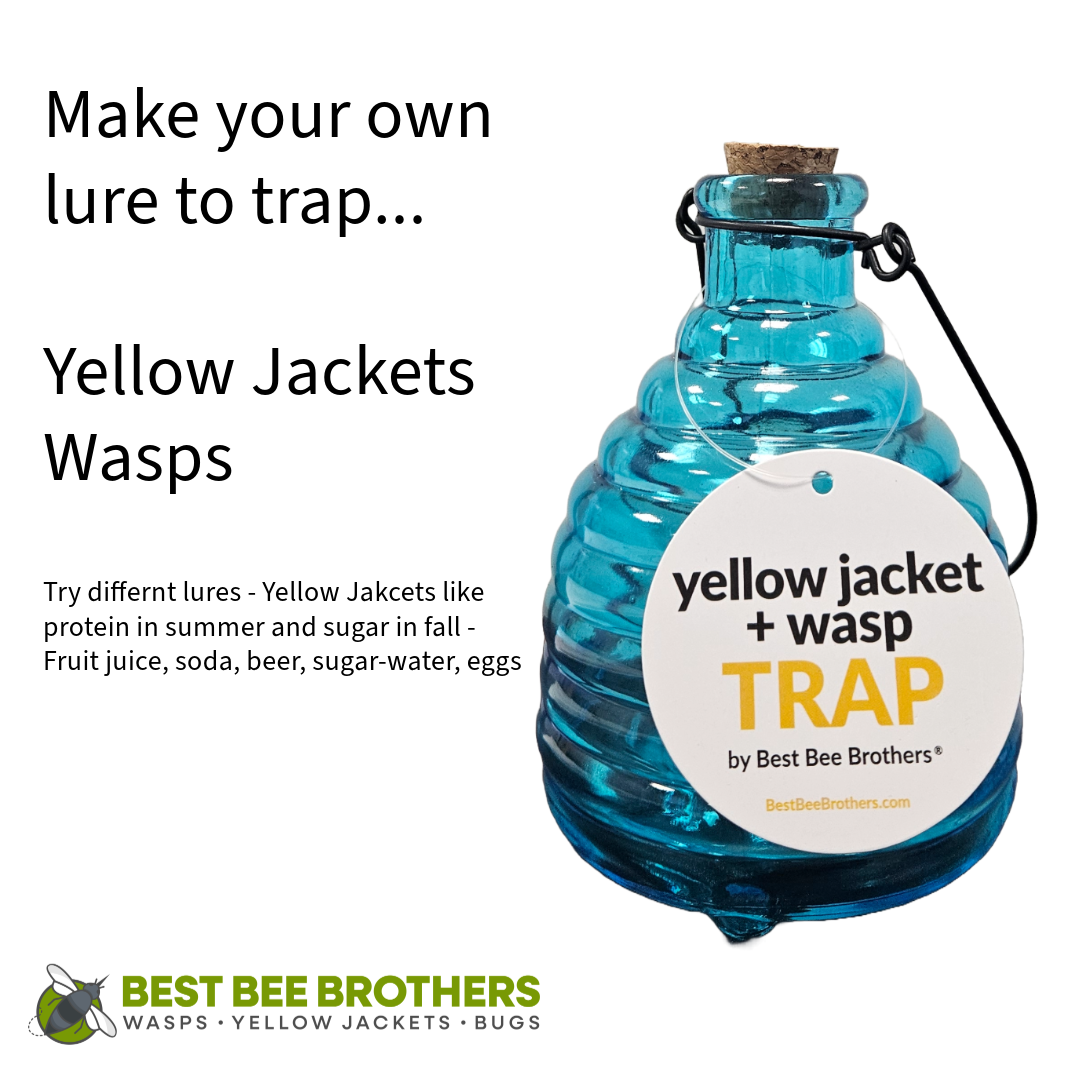 Glass Wasp Trap and Deterrent Hive (2 Hives) for Wasps and Yellow Jackets