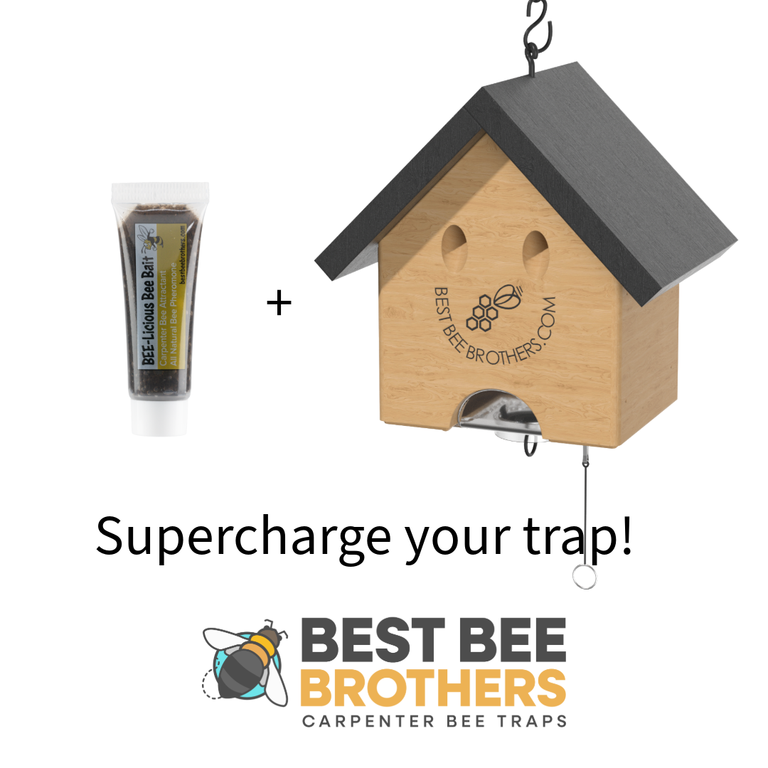 Carpenter Bee Turbo Trap Happy House with Bee Vault - Black Roof