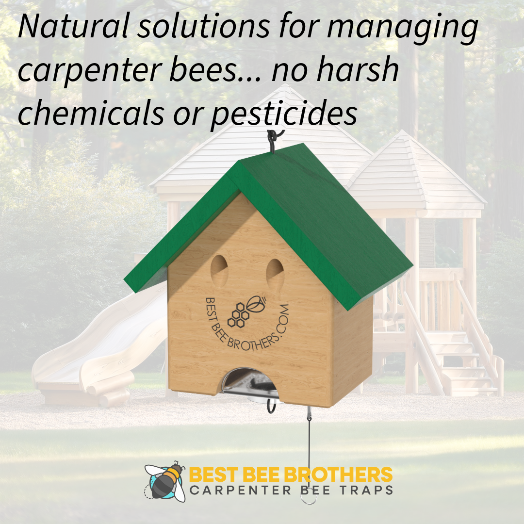 Carpenter Bee Turbo Trap Happy House with Bee Vault - Natural Roof