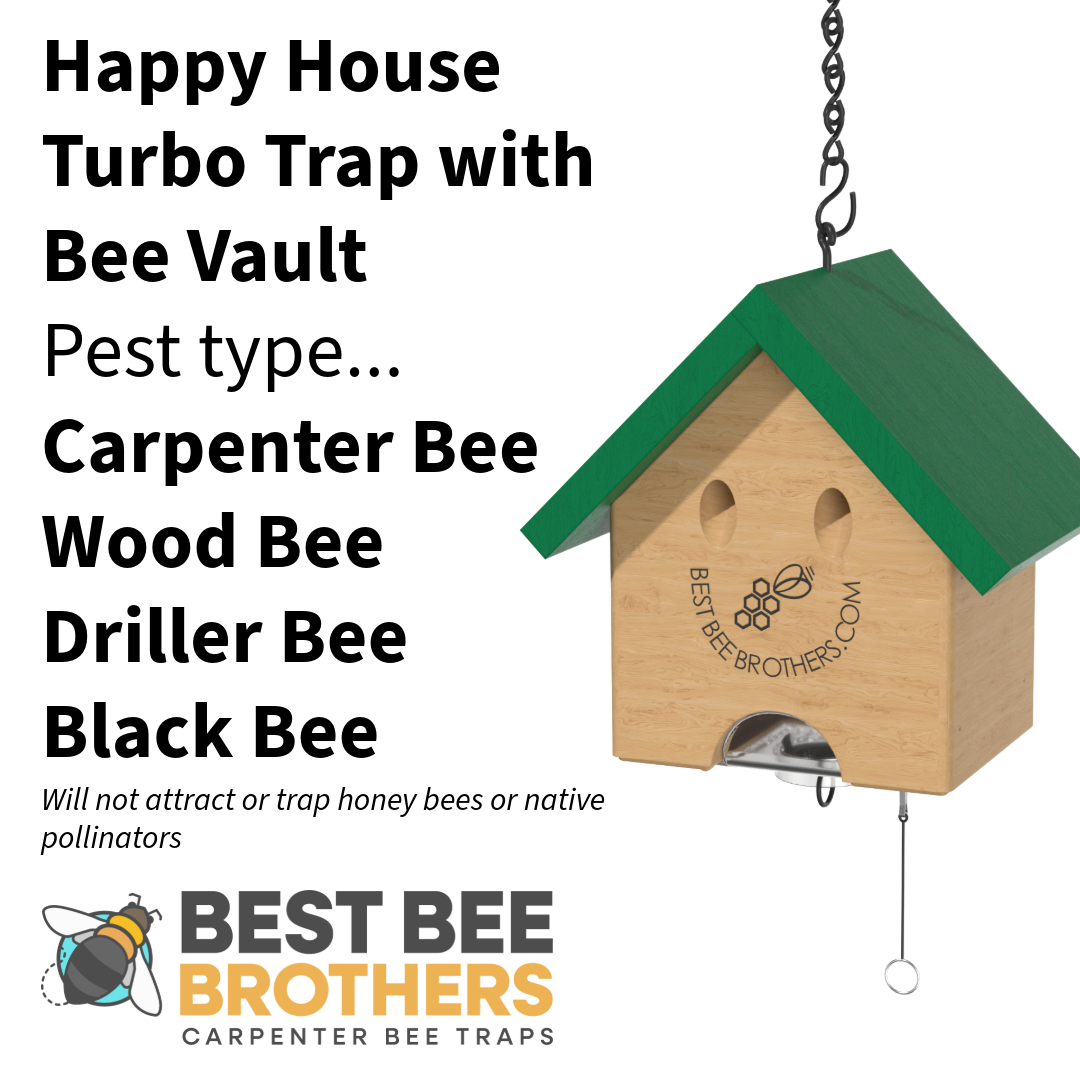 Carpenter Bee Turbo Trap Happy House with Bee Vault - Black Roof