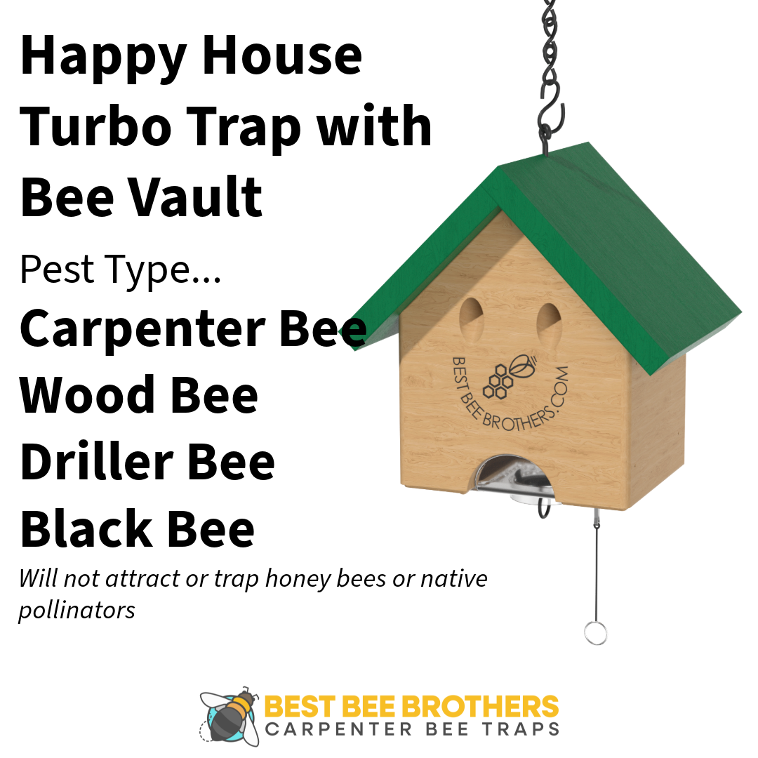 Carpenter Bee Turbo Trap Happy House with Bee Vault