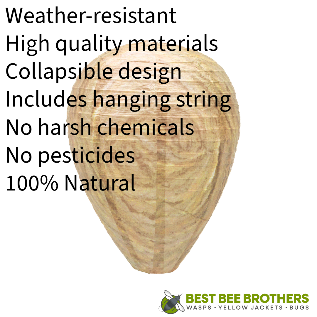 Wasp Deterrent Hive - 2 pack