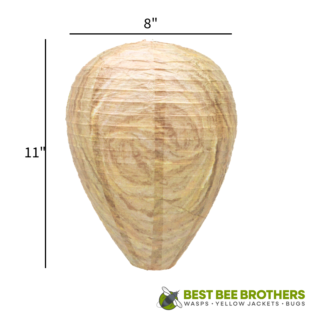 Wasp Deterrent Hive - 2 pack