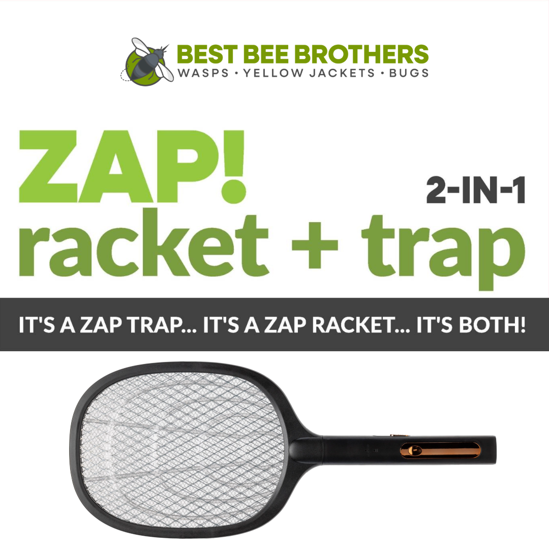 ZAP! 2-in-1 Insect Zap Racket + Trap