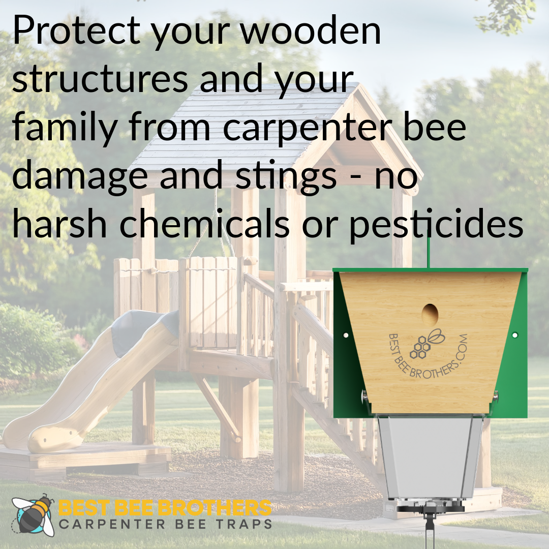 Ultimate Pro, Carpenter Bee Trap with Bee Vault and Extra Large External Receptacle