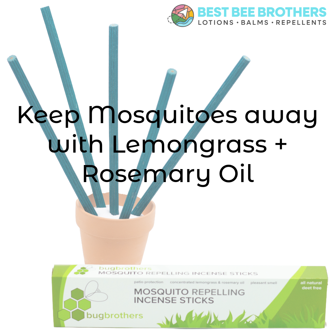 Lemongrass + Rosemary Incense Sticks for Mosquitoes