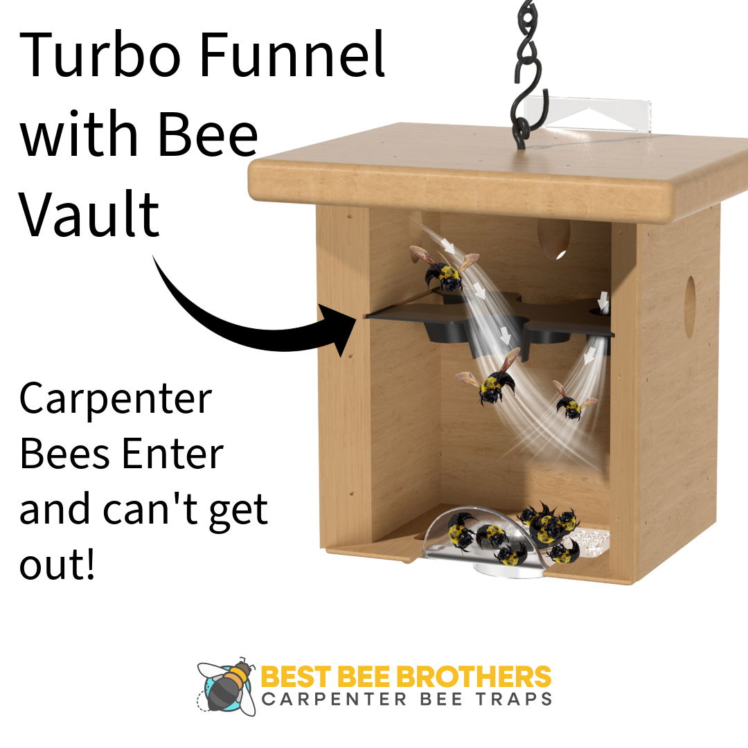 Carpenter Bee Pine Turbo Trap with Bee Vault