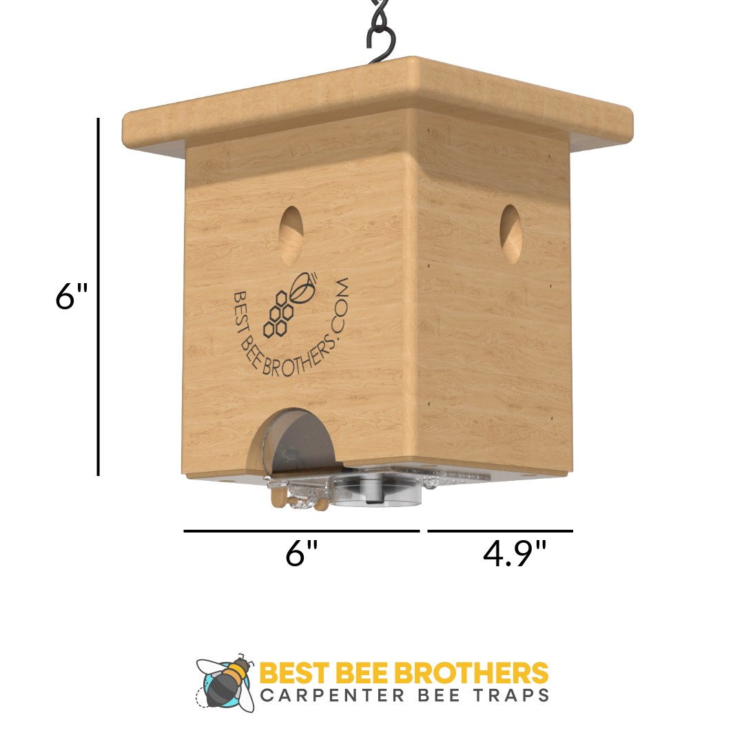 Carpenter Bee Pine Turbo Trap with Bee Vault