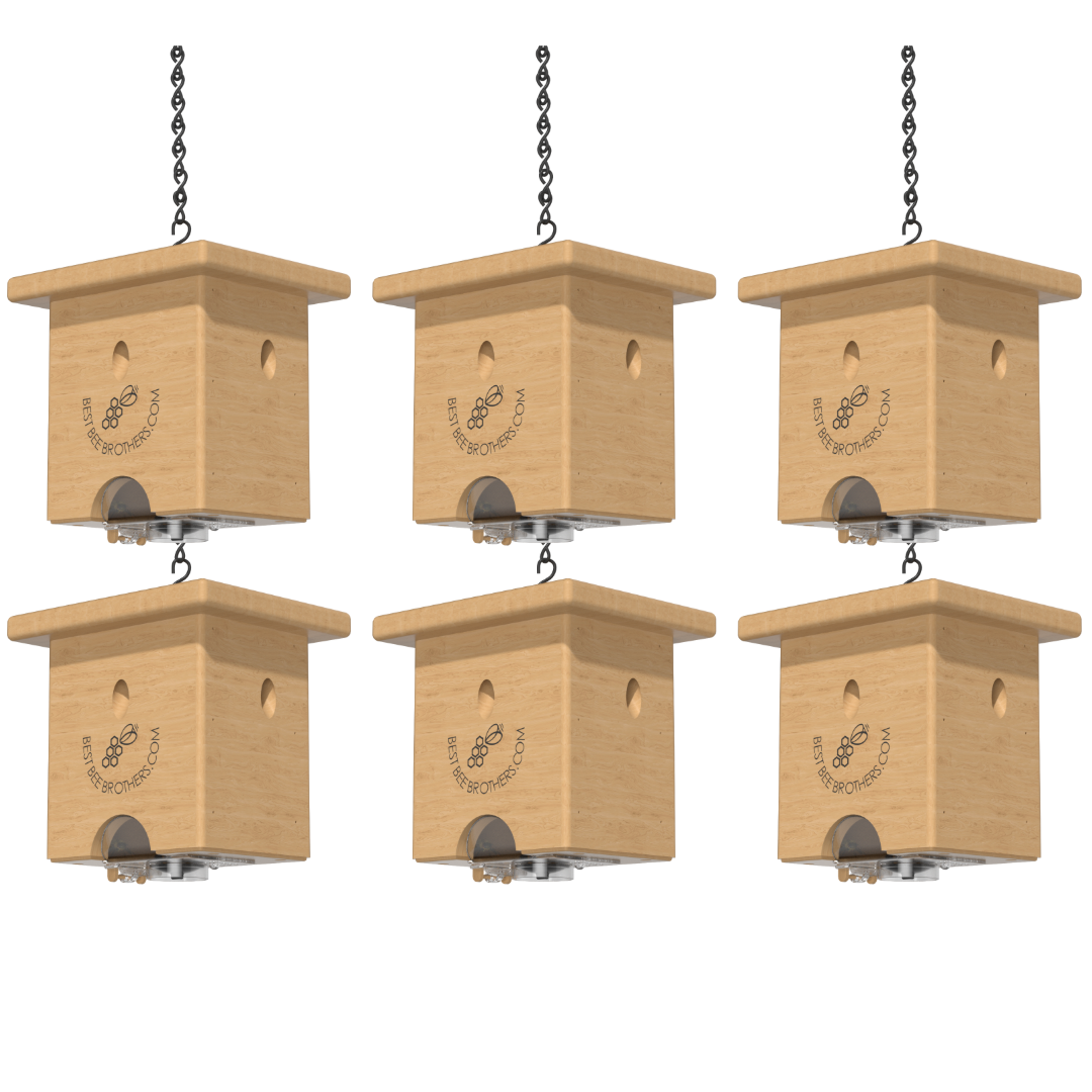 Carpenter Bee Pine Turbo Trap with Bee Vault