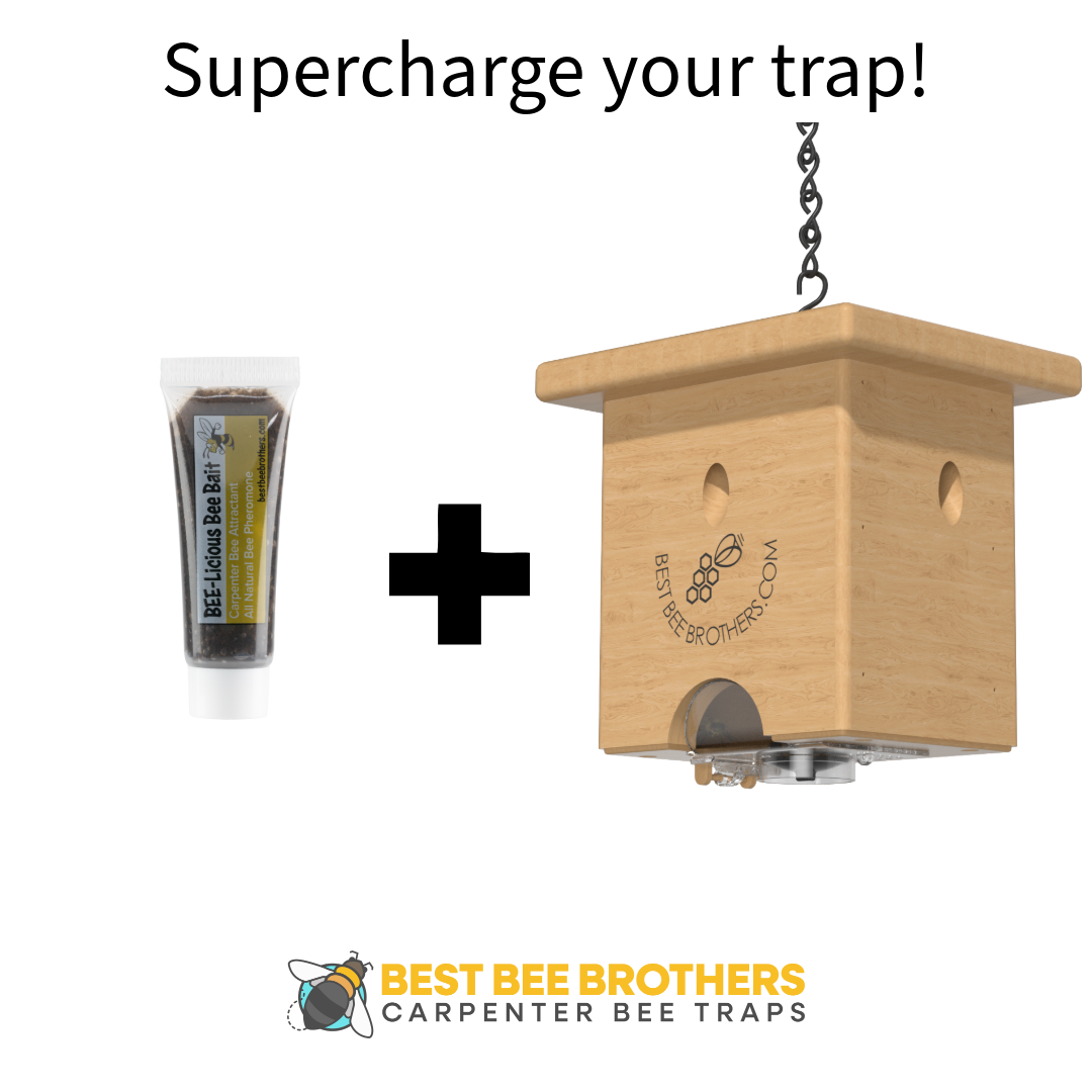 Carpenter Bee Pine Turbo Trap with Bee Vault