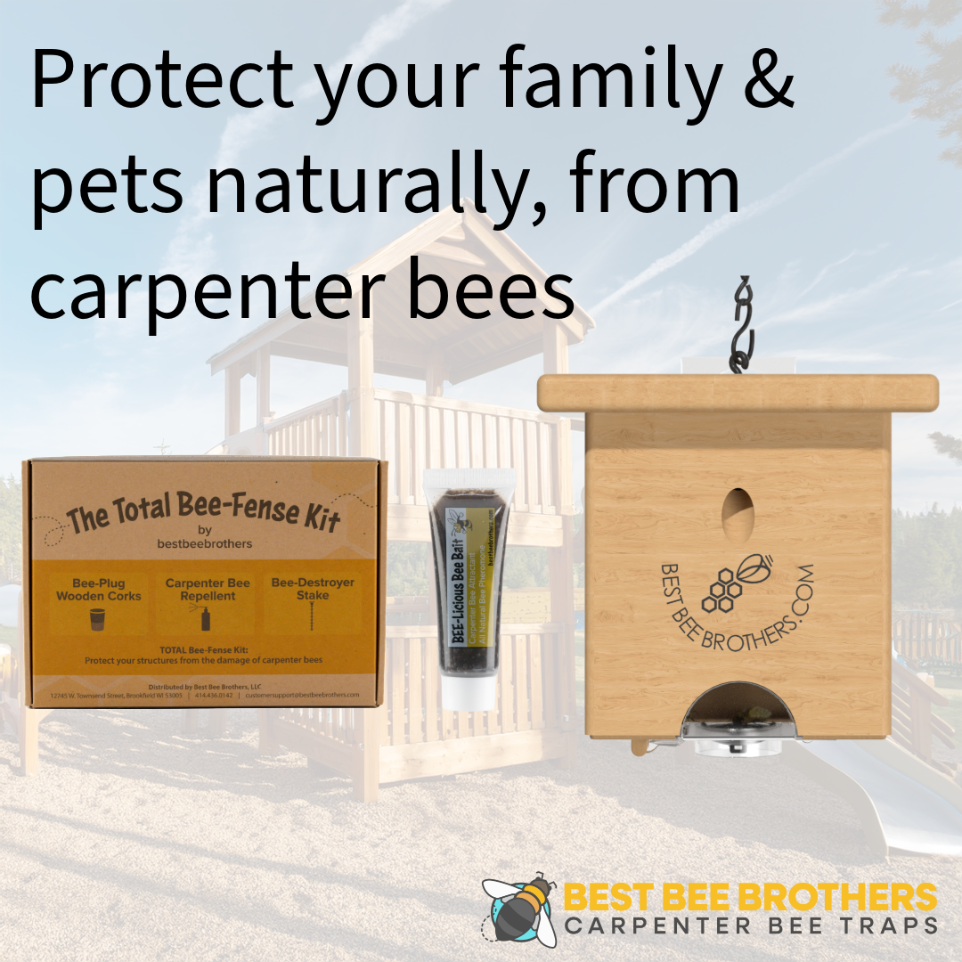 Carpenter Bee Pine Turbo Trap with Bee Vault