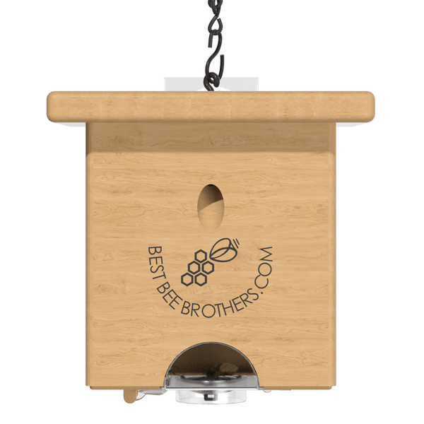 Best Bee Brothers Carpenter Bee Trap