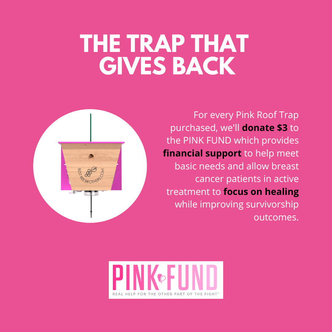 Pink Carpenter Bee Turbo Trap 2.0 with Bee Vault Gift Box