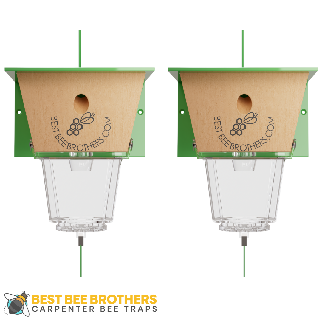 Ultimate, Carpenter Bee Trap with Large External Receptacle