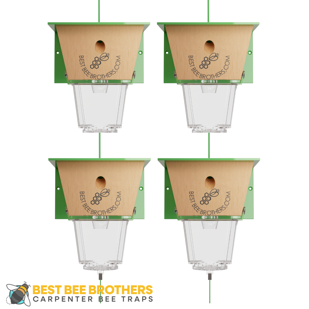 Ultimate, Carpenter Bee Trap with Large External Receptacle