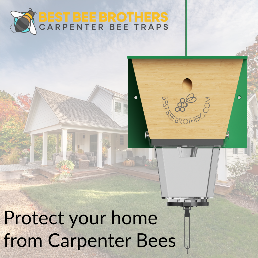 Ultimate Pro with Color Roof, Carpenter Bee Trap with Bee Vault and Extra Large External Receptacle