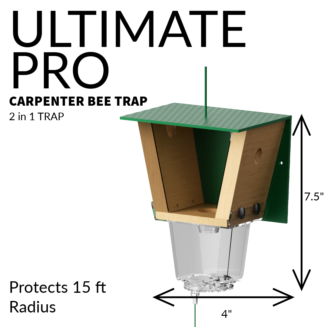 Ultimate Pro with Color Roof, Carpenter Bee Trap with Bee Vault and Extra Large External Receptacle
