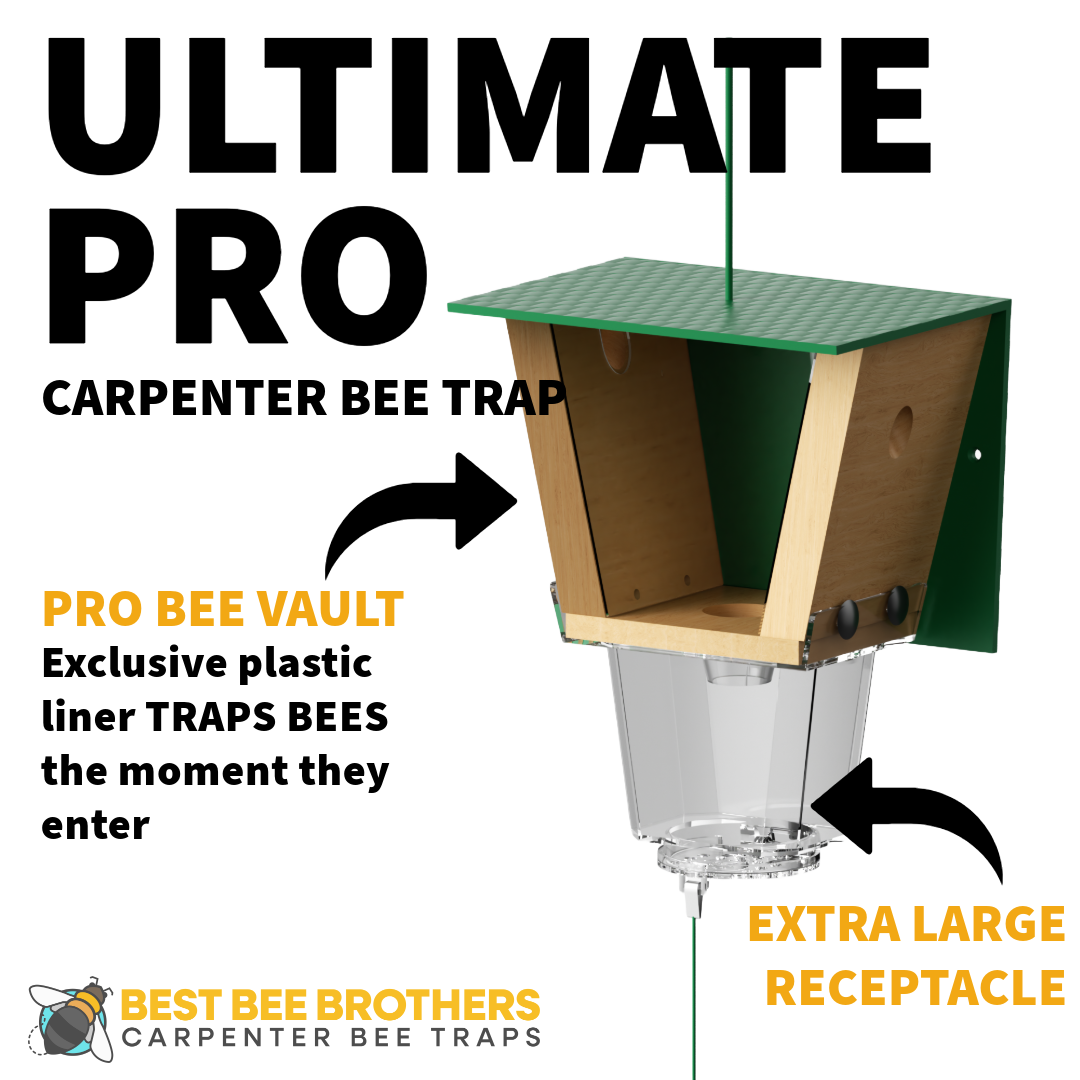 Ultimate Pro with Color Roof, Carpenter Bee Trap with Bee Vault and Extra Large External Receptacle