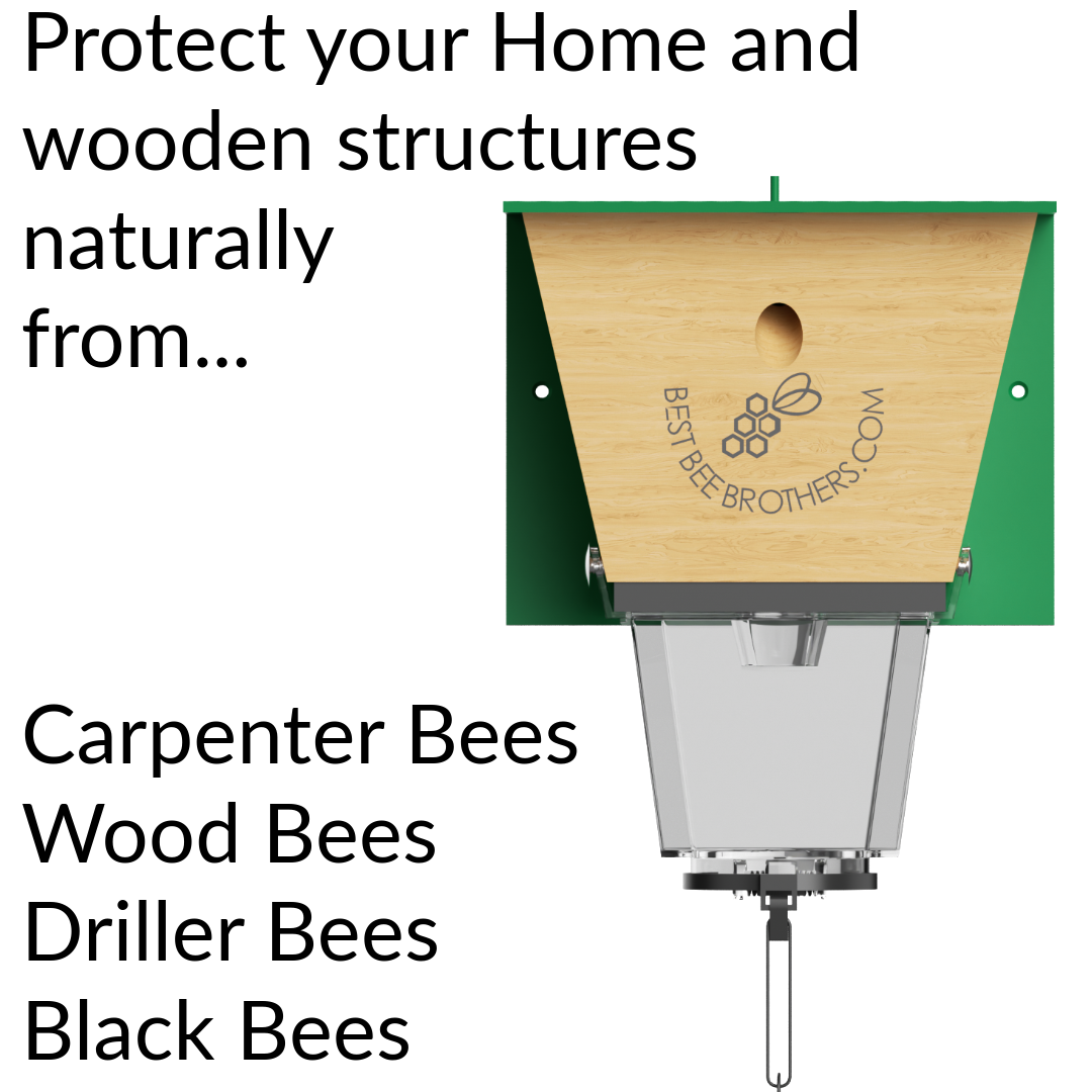 Ultimate Pro with Color Roof, Carpenter Bee Trap with Bee Vault and Extra Large External Receptacle