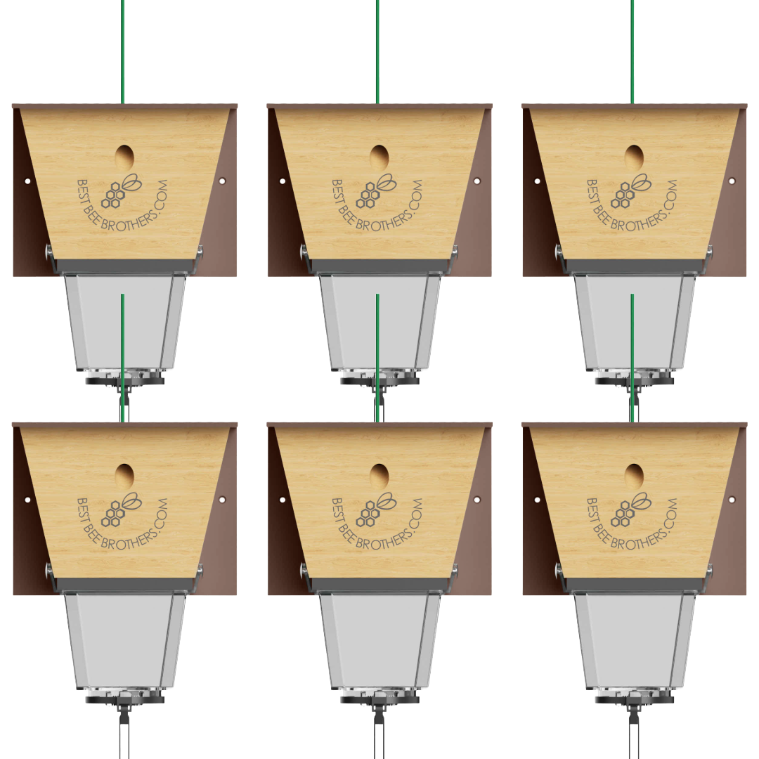 Ultimate Pro with Color Roof, Carpenter Bee Trap with Bee Vault and Extra Large External Receptacle