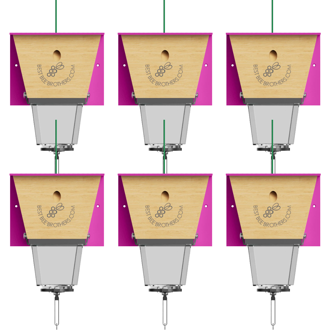 Ultimate Pro with Color Roof, Carpenter Bee Trap with Bee Vault and Extra Large External Receptacle