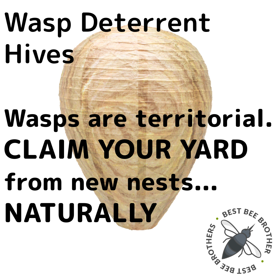 Glass Wasp Trap and Deterrent Hive (2 Hives) for Wasps and Yellow Jackets