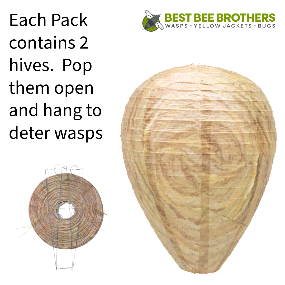 Glass Wasp Trap and Deterrent Hive (2 Hives) for Wasps and Yellow Jackets