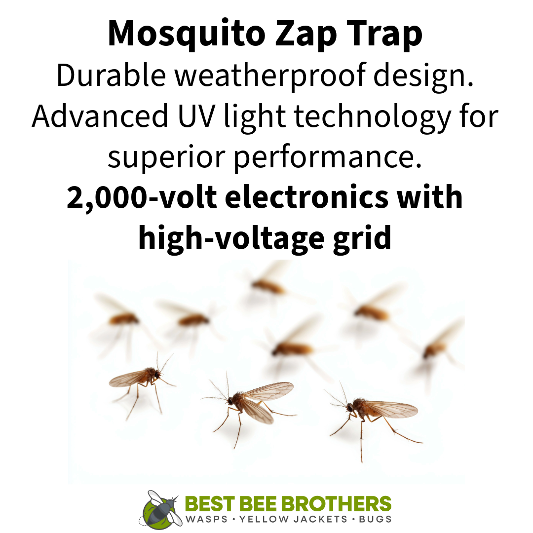 Mosquito Zap Trap