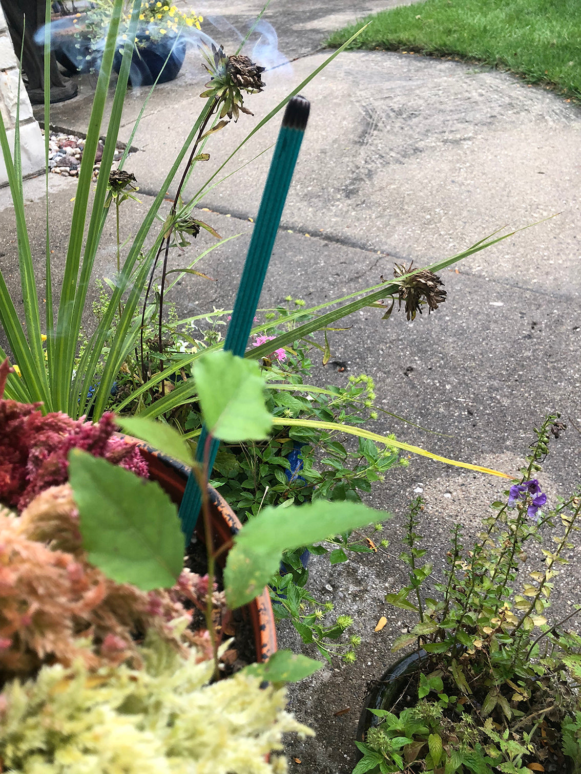 Lemongrass + Rosemary Incense Sticks for Mosquitoes