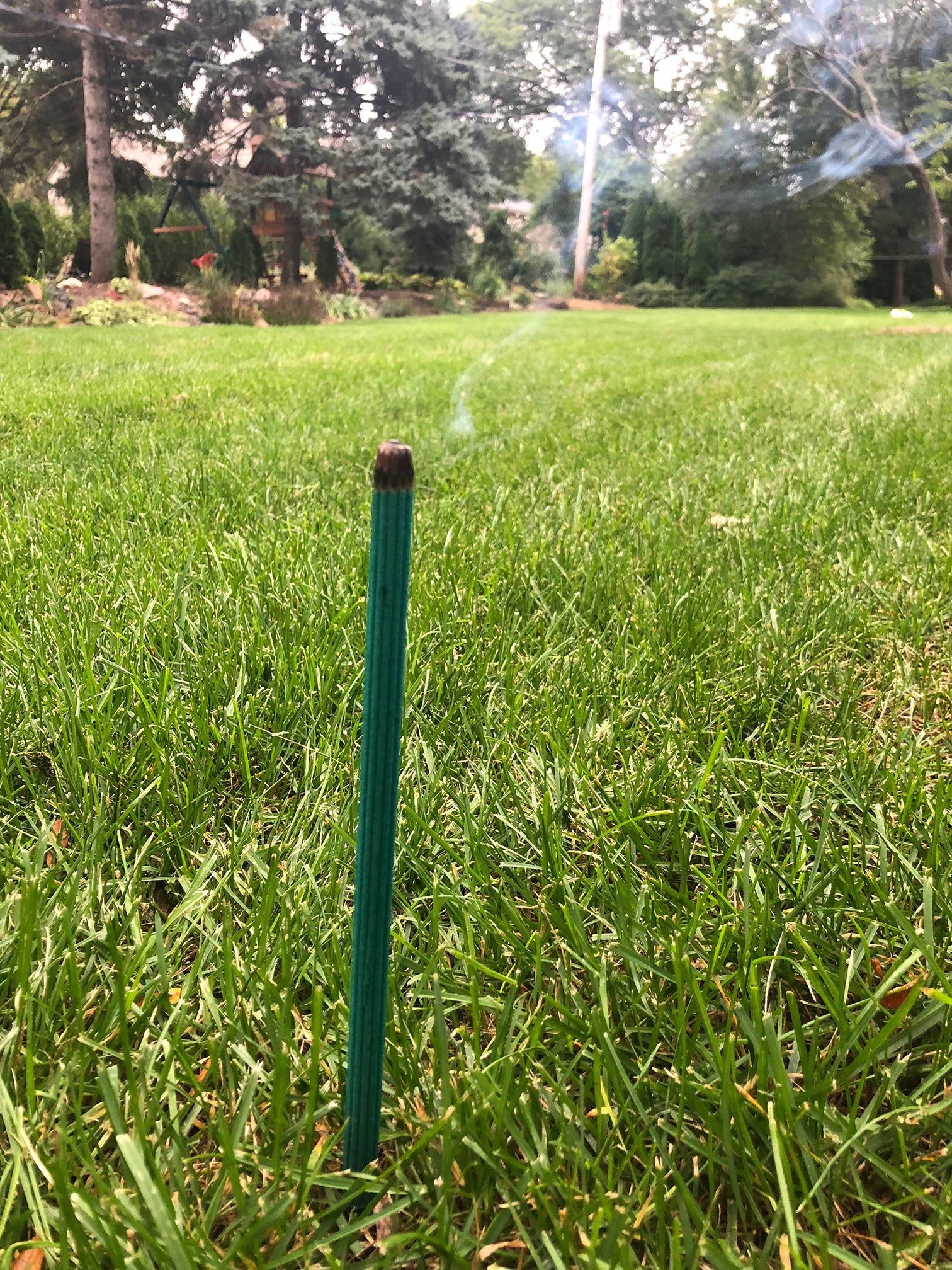 Lemongrass + Rosemary Incense Sticks for Mosquitoes
