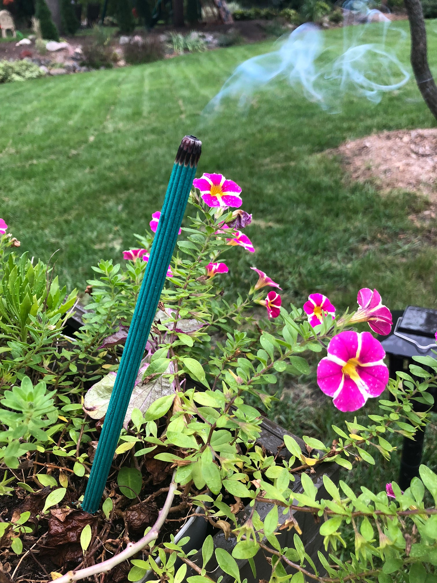 Lemongrass + Rosemary Incense Sticks for Mosquitoes