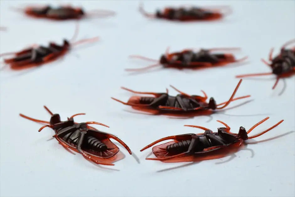 How Yard Pest Control Protects Your Family and Home