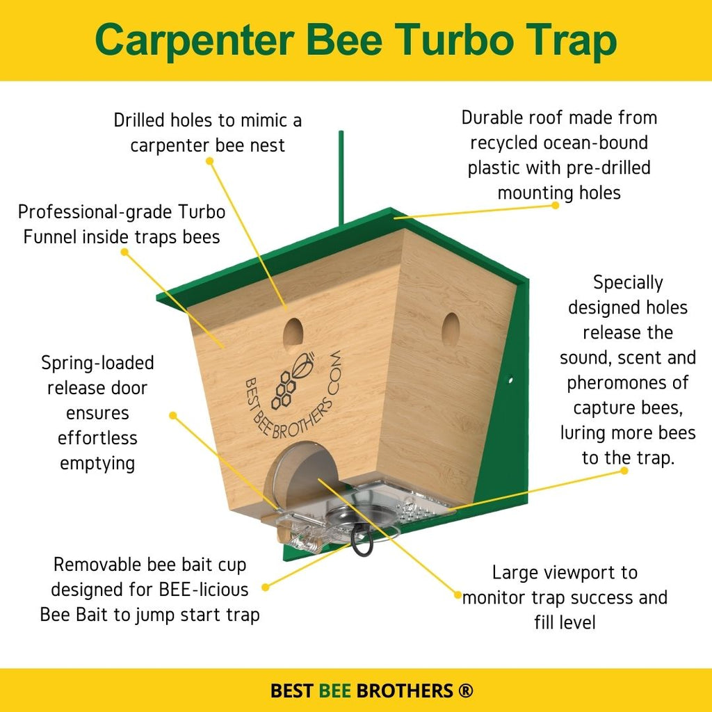  Our carpenter bee traps are easy to hang and designed to release sound and scent to lure bees to the trap.
