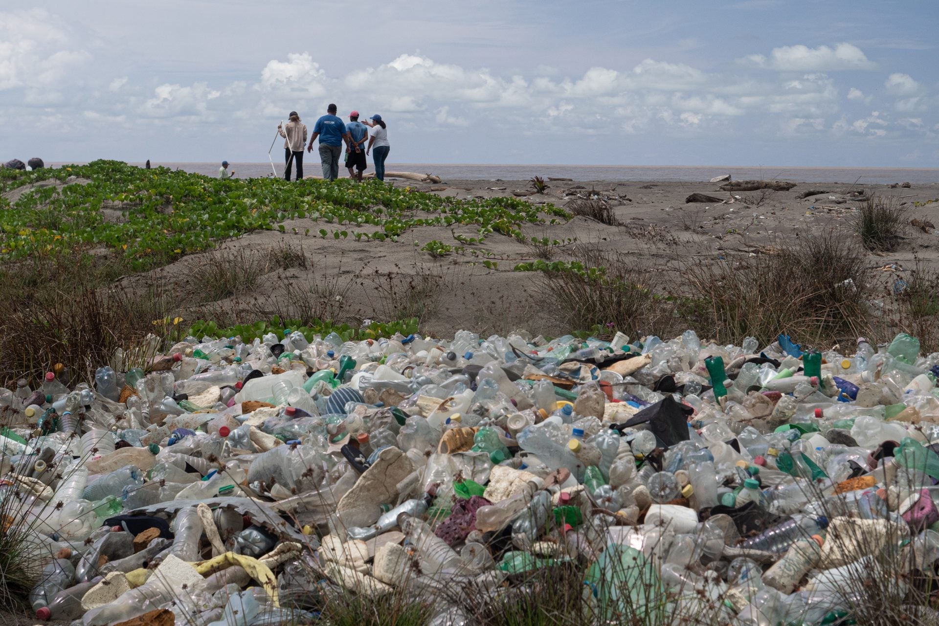 Bee Traps: The Newest Innovation Using Recycled Ocean Plastics