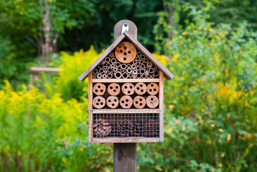 Bee House Maintenance