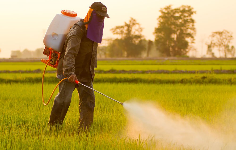 Pesticides: How to Avoid Them by Using Chemical-Free Solutions