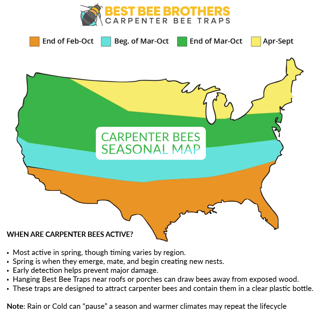 Ultimate Pro, Carpenter Bee Trap with Bee Vault and Extra Large External Receptacle