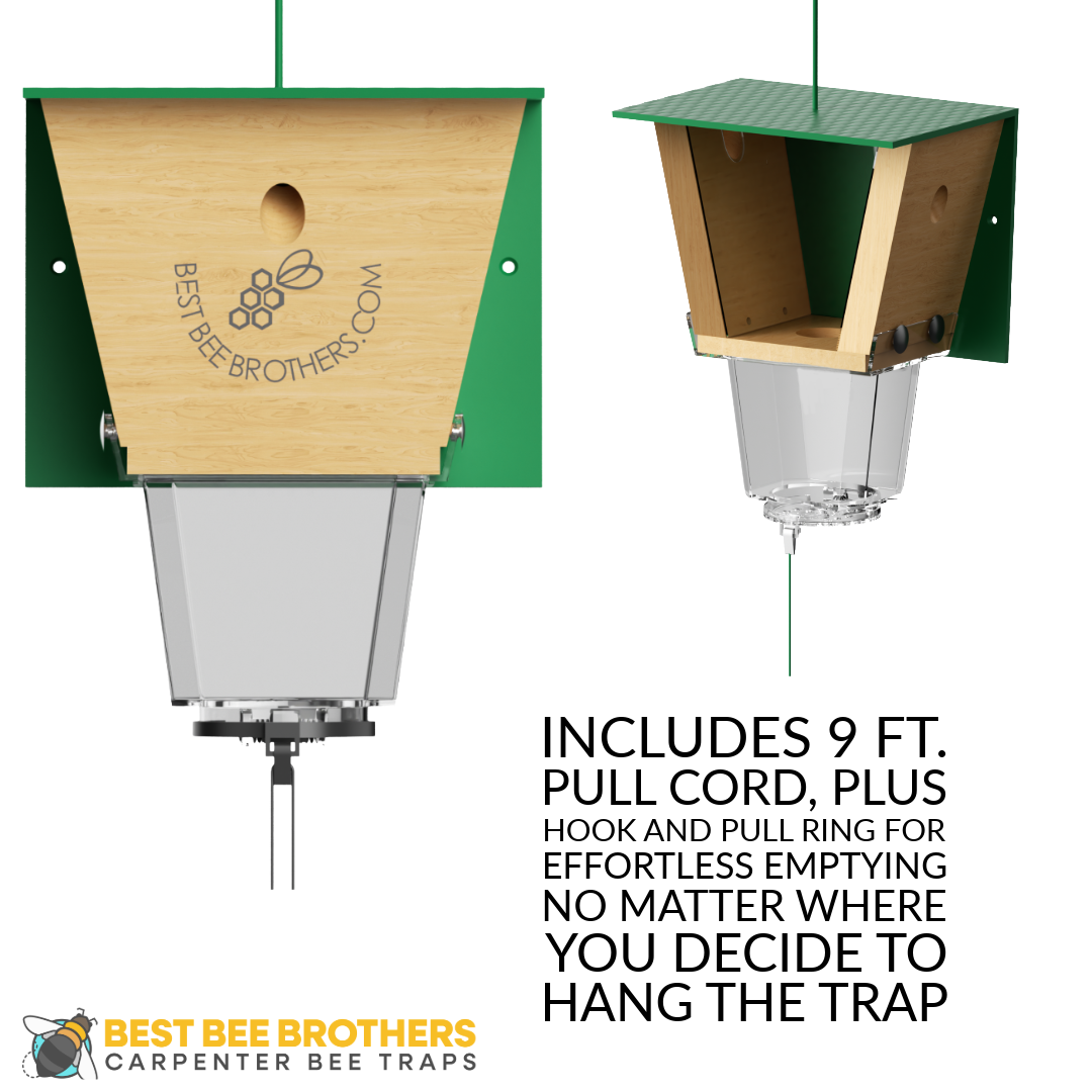 Ultimate Pro, Carpenter Bee Trap with Bee Vault and Extra Large External Receptacle